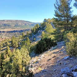 Spanje