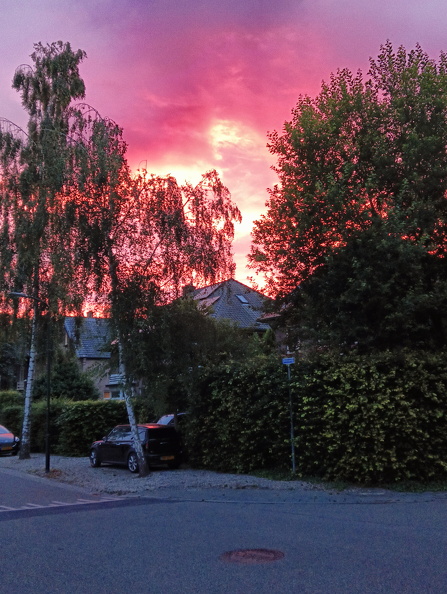 IMG20240620220128.jpg