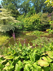 IMG20240629125048