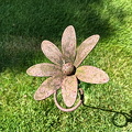 IMG20240629125141