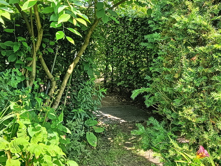 IMG20240629125400