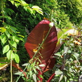 IMG20240629125550