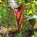 IMG20240629125611