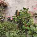 IMG20240629131352