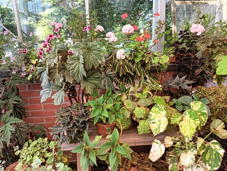 IMG20240629131418.jpg
