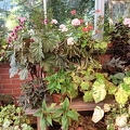 IMG20240629131418